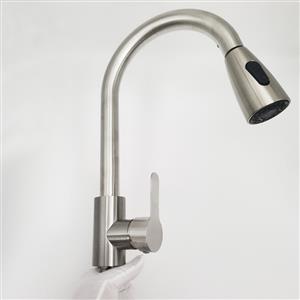 Stainless steel kitchen sink, sink, and pull-out faucet